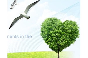 防腐木景觀的未來發展優勢和發展特點！